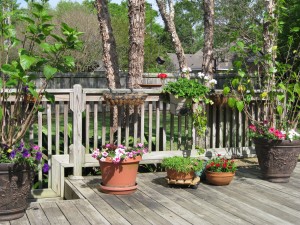 The deck in bloom